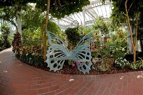 Magic winfs butterfly conservatory about